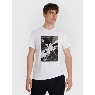 Men's T-shirt 4F 4FRAW25TTSHM3258-10S