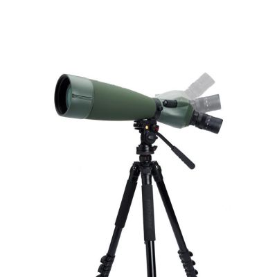 10. Celestron Regal M2 80ED 60x BaK-4 Scope Black, Green