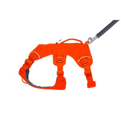 4. Ruffwear Web Master Harness - Blaze Orange, Size: M