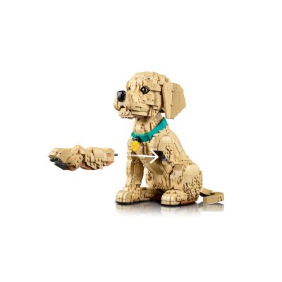 17. LEGO 11384 Icons - Golden Retriever Puppy