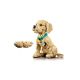 17. LEGO 11384 Icons - Golden Retriever Puppy