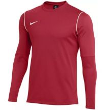 Nike Park 20 Crew Top Jr FJ3008-657 sweatshirt