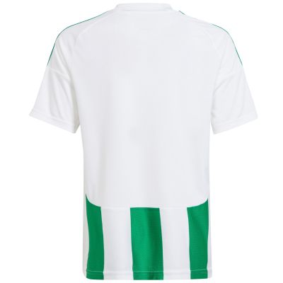 7. adidas Striped 24 Jr T-shirt IW2138