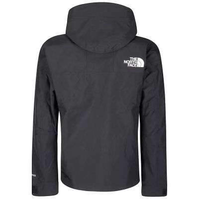2. The North Face M GTX Mountain Jacket NF0A831MKX81 Black L
