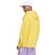 3. Sweatshirt adidas Big Logo Hoody FT HD M IC9834
