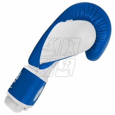 2. Leather boxing gloves MASTERS RBT-TRW 01210-02