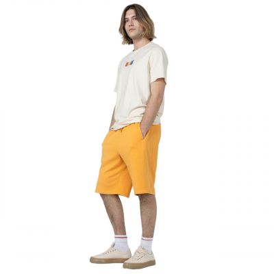 3. Outhorn Shorts M ACOTHSS23TSHOM132 74S