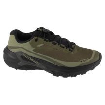 Salomon Genesis 2 GTX L49301900 Green 41 1/3
