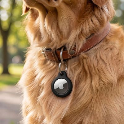 11. Tech-Protect Rough Case for Apple AirTag with Ring - Black