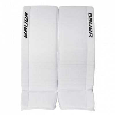 3. Bauer GSX Int Fences
