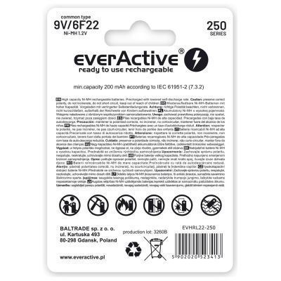 2. everActive EVHRL22-250 battery pack (250 mAh ; Ni-MH)
