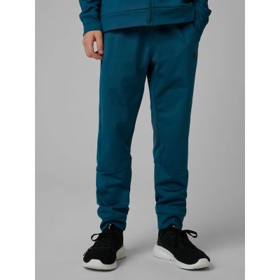3. Boys' quick-drying sports pants 4F 4FJRSS26TFTRM1460-46S