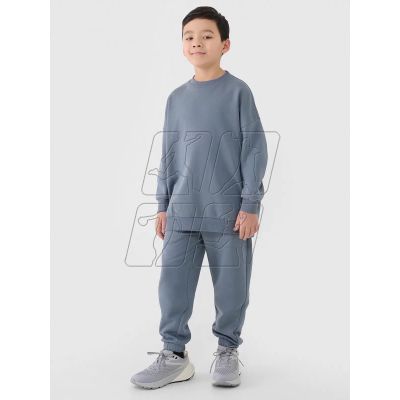 Tracksuit 4F Jr 4FJRAW24TAPSU040-32S