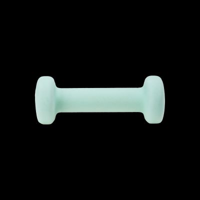 DYNAMOS 0.5 KG Dumbbell