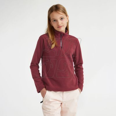 4. O&#39;Neill Jack&#39;s Fleece Jr sweatshirt 92800589996