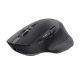 Trust OZAA+ MULTI-CONNECT Wireless Mouse Black (24820)