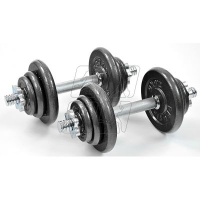 2. Profit DK4135 cast iron dumbbells