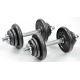 2. Profit DK4135 cast iron dumbbells