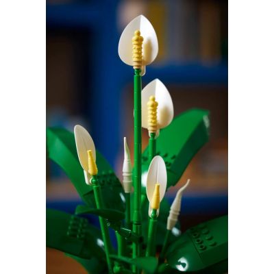 23. LEGO Botanical 11504 Spathiphyllum in a Pot