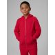 Boy's regular hooded sweatshirt 4F 4FJRSS26TSWSM2749-62S