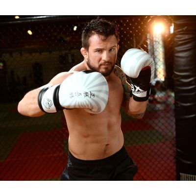 2. 10oz Boxing Gloves - Japan - Valor Series