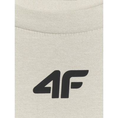 8. Men's quick-drying regular training T-shirt 4F 4FRSS26TFTSM2343-11M