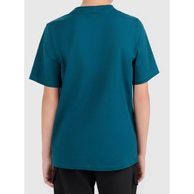 2. Boy's cotton T-shirt 4F 4FJWAW26TTSHM3508-40S
