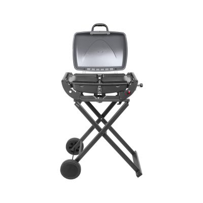 4. Teesa BBQ-1000 TSA0150 portable gas grill - foldable