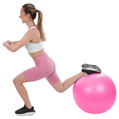17. FITNESS BALL 65CM ANTIBURST PINK