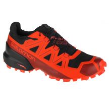 Salomon Spikecross 5 GTX M 408082 running shoes