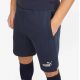 4. Puma shorts M 657387 06