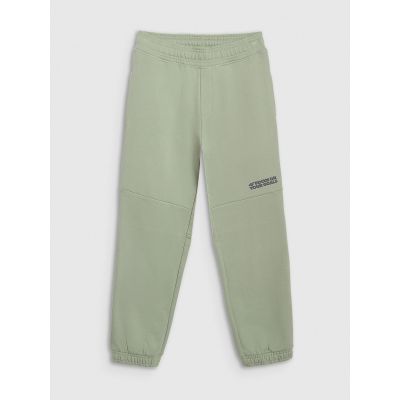 6. Boys' jogger sweatpants 4F 4FJRAW25TTROM1605-44S