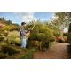 15. Black & Decker BEHTS451 Electric Hedge Trimmer Twin Blade 550W 2.65kg