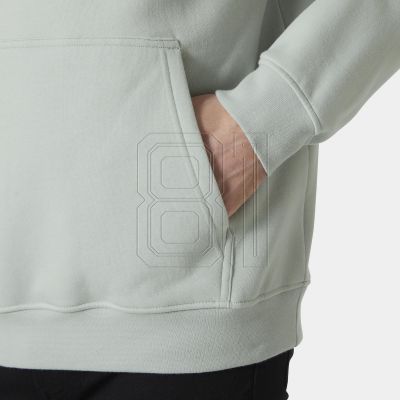 9. Helly Hansen Cotton Fleece Hoodie M 54158 462
