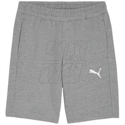 Puma teamGOAL Casuals M shorts 658608 33