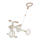 Tricycle/balance bike LEARNING TRIKE 3in1 PLUS ECOLOGIC (738-466)