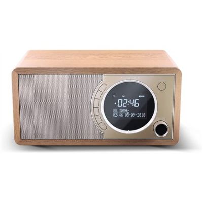 6. Sharp DR-450(BR) digital radio with Bluetooth technology
