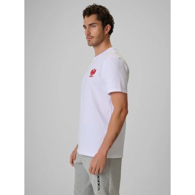 4. Men's cotton fan T-shirt 4F 4FRSS26TTSHM4203-10S