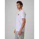 4. Men's cotton fan T-shirt 4F 4FRSS26TTSHM4203-10S