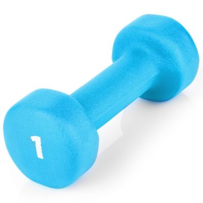 3. Vinyl dumbbells 2x1kg