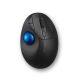 Kensington Pro Fit Ergo TB450 Mouse Office Right Side RF Wireless + Bluetooth Trackball 1600 DPI