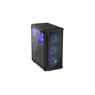 61. ENDORFY Signum 300 ARGB case