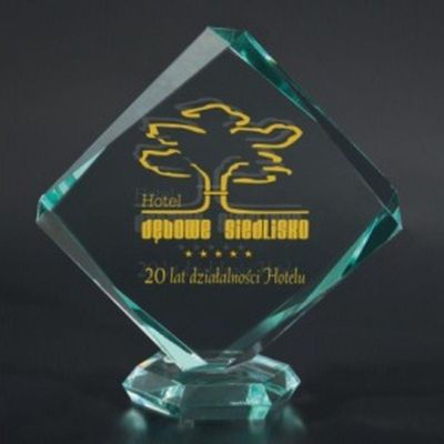 5. Engraved glass trophy with case + paint filling