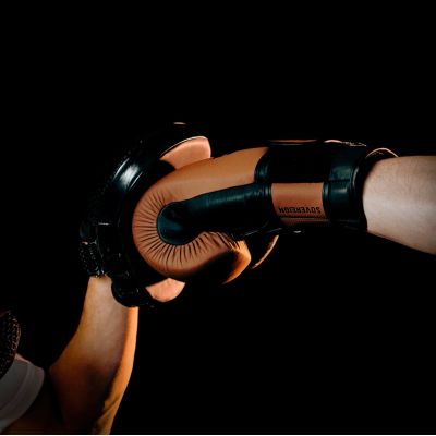 14. SOVEREIGN Multi-Layer Leather Boxing Gloves - Legacy Series | DBX Bushido