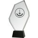 3. Engraved glass trophy with case