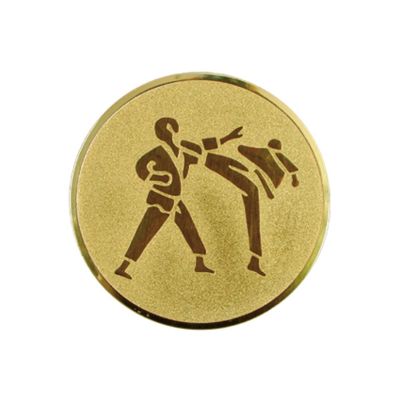 Aluminium Insert – Karate