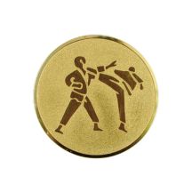 Aluminium Insert – Karate