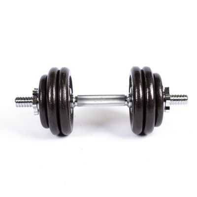 8. Profit cast iron dumbbells 10kg DK 4126