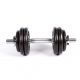8. Profit 10kg DK 4126 cast iron dumbbell
