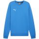 2. Puma Team Goal Casuals Crew Neck Sweat M 658592 02